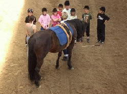 Kinder mit einem Pferd