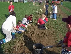 Am 15.4.2005 mühten sich die Kinder beim Einsetzen der Pflanzen.